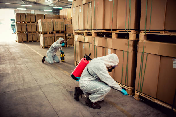 Best Local Pest Control Services  in Cleveland, WI