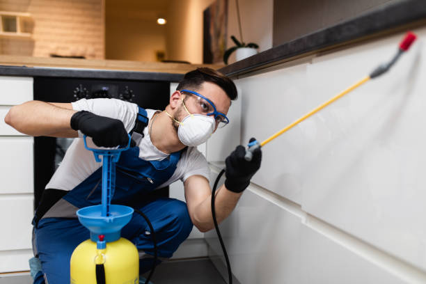 Best Wasp Removal Services  in Cleveland, WI