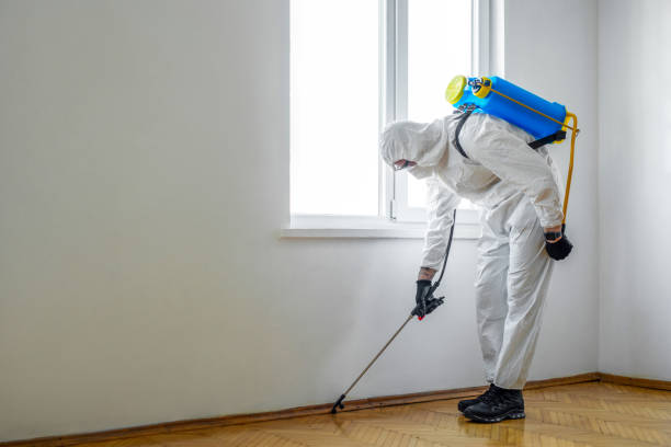 Best Pest Removal Services  in Cleveland, WI