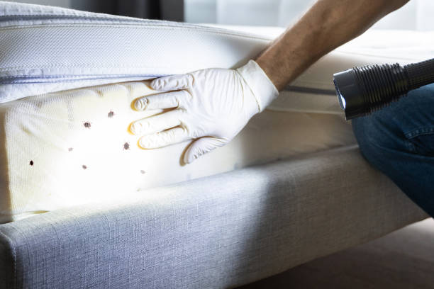 Best Residential Pest Control  in Cleveland, WI