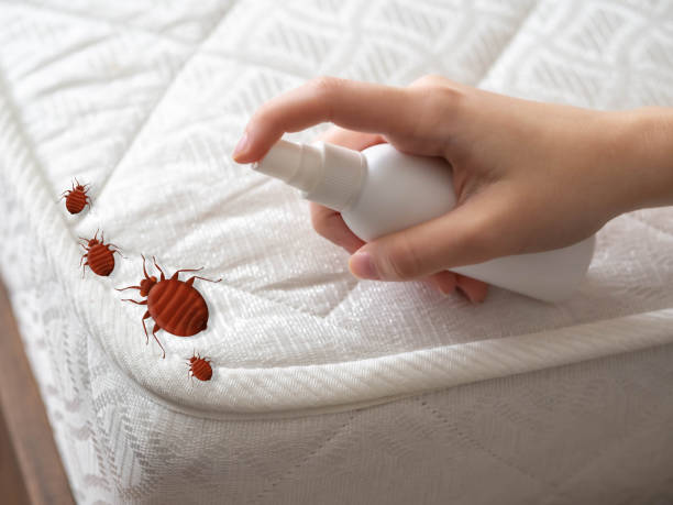 Trusted Cleveland, WI Pest Control Experts
