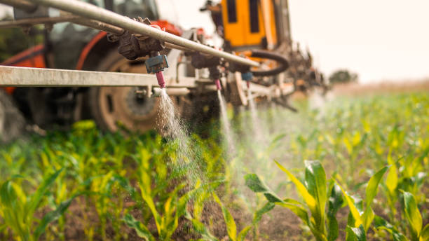 Best Ant Control Services  in Cleveland, WI